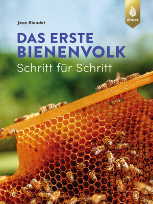 cover image of Das erste Bienenvolk – Schritt für Schritt